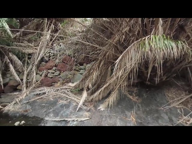 VR 180 3D Barranco Cercado Tenerife