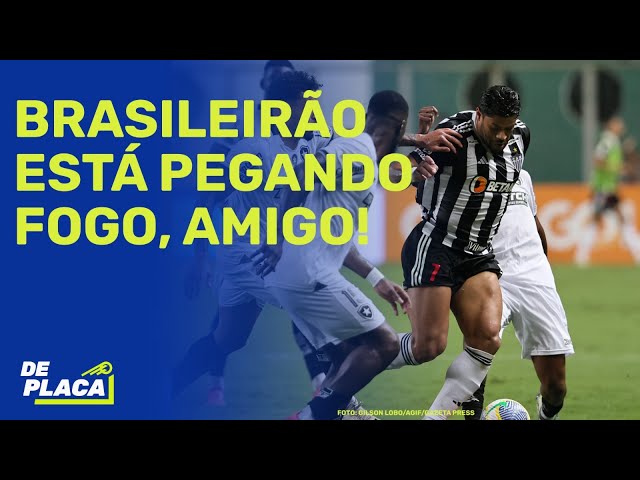 BOTAFOGO E PALMEIRAS: LIDERANÇA CAIU PARA 2 PONTOS; CONFUSÃO EM GALO X GLORIOSO | De Placa 21/11/24