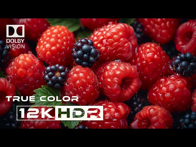 HDR 8k Best Of 2020 Full Dolby Vision