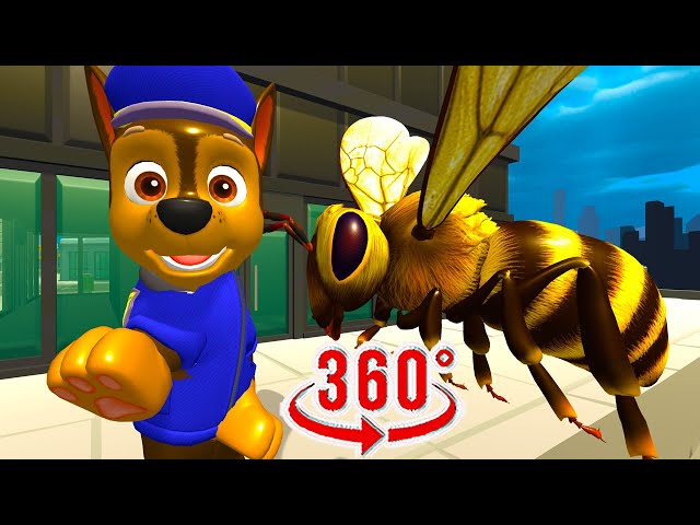 360 VR video My friend is a bee! 360 degree video meme