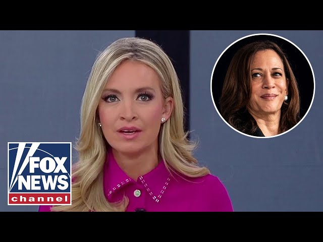 Kayleigh McEnany: This is what the Harris campaign is missing