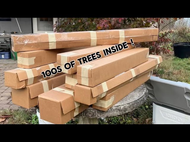 How I pack and ship bare root trees