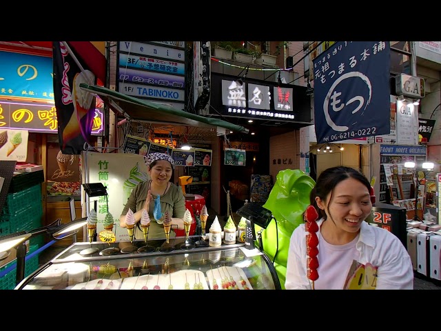 8k 3D (3/3) Osaka Japan: Dotonbori street, Osaka Castle, Don Quixote