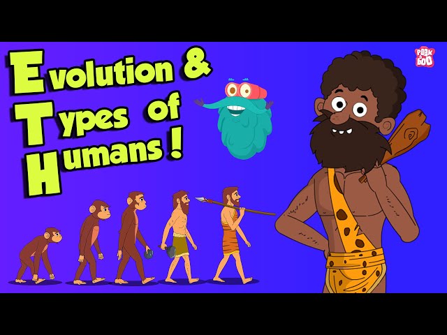 What Is Evolution & types of HUMANS | Dr Binocs Show | Peekaboo Kidz