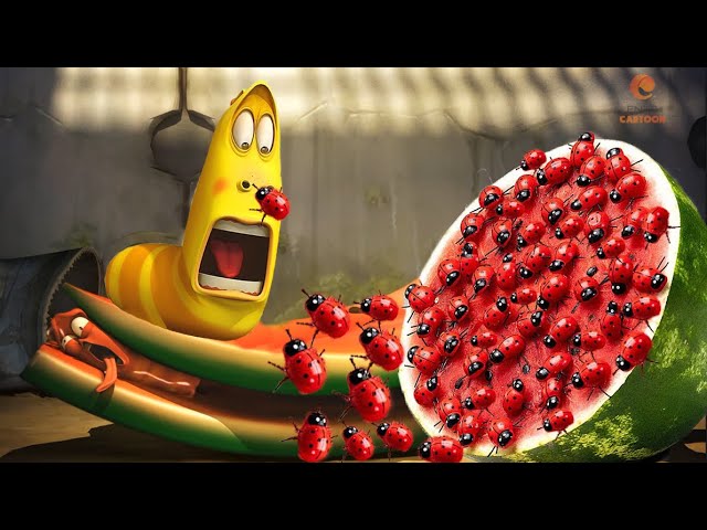 LARVA TUBA 2023 - Red Beetle Watermelon | Cartoons for Kids | Larva Land