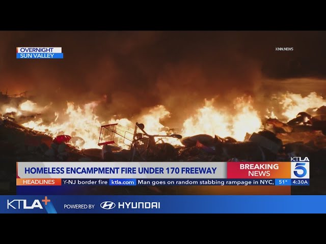 Homeless encampment erupts in flames under 170 Fwy