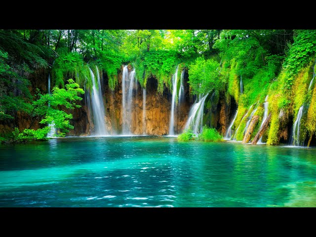 Relaxing music to relieve stress 🌿 stop anxiety, depression • Healing mind, body and soul