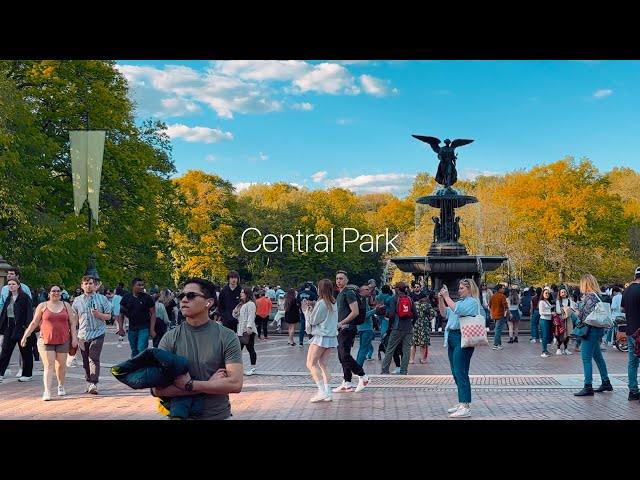 Central Park // Shot on iPhone 14 Pro // Cinematic 4K