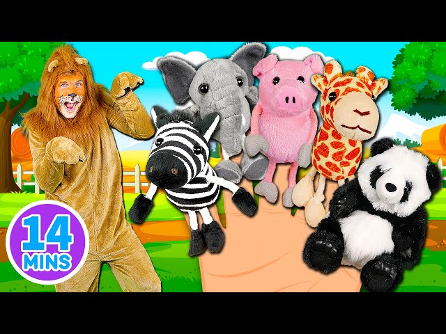 Animals Finger Family | Full Episode - Mega Finger Family Animals Collection 🐾