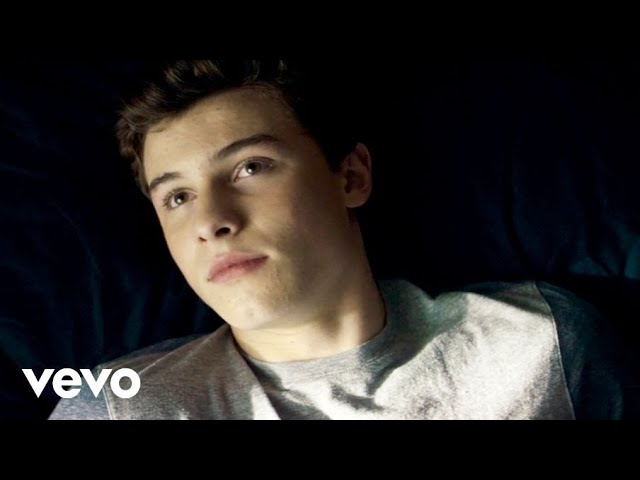 Shawn Mendes - Something Big (Official Music Video)