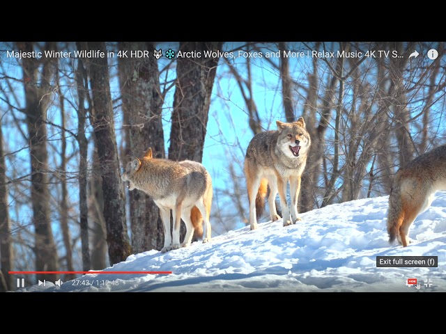 HDR Windows DEMO & why is GREAT once you adjust it properly | HDR Video