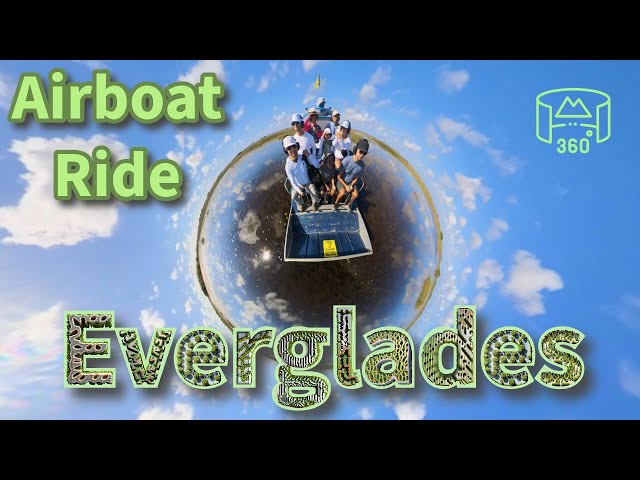 Florida Everglades Airboat Ride! Zoom through water and grass in 360 video!