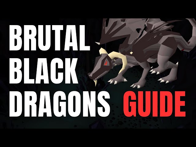 Brutal Black Dragons Guide OSRS (New Methods & Kill Rates!)