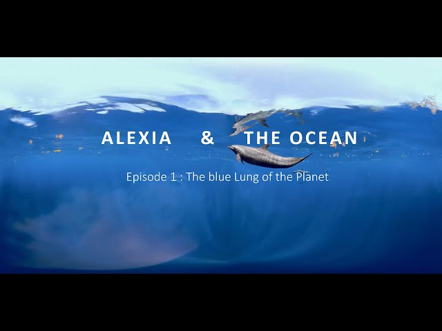 Episode 1 : The blue Lung of the Planet [360 film]