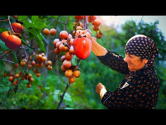 AZERBAIJAN AUTUMN - Sweet Grandma Made Red Persimmon Sweets with Walnuts