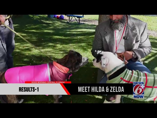 Trooper Steve on Patrol meets Zelda, Hilda at Orange County Animal Services