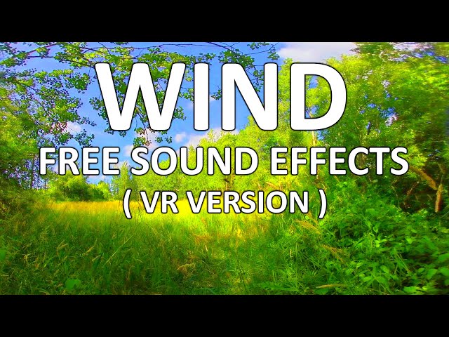 Wind | FREE Video Footage & Sound Effects | Virtual Reality / VR180 Version