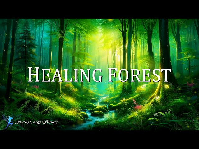 Healing Forest Ambience | 741Hz +  432Hz + 417Hz | Emotional Detox, Deep Healing & Transformation