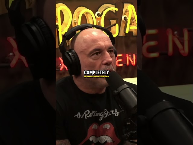 Joe Rogan Discusses Trump vs Harris!