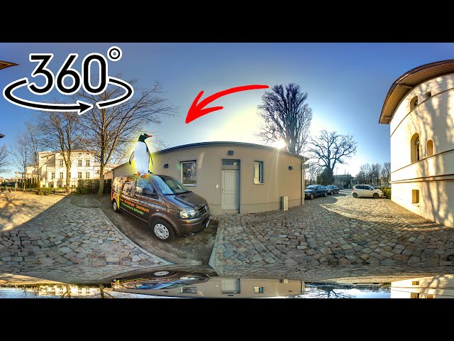 360 find the penguin in a 3D world. 3 searches of 10 seconds. Set the video quality to maximum.