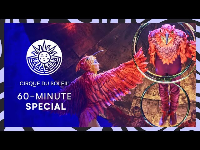 REACHING NEW HEIGHTS! | 60 MINUTE SPECIAL #15 | Cirque du Soleil | LUZIA, CORTEO, VOLTA