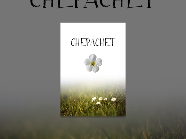 Cherapachet