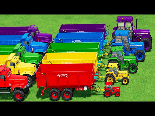 KING OF TRACTORS! HARVEST POTATO with MINI and BIG MASSEY FERGUSON TRACTORS AND MACK TRUCK! FS22