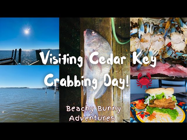 "From Cedar Key to Crystal River: A Blue Crab Adventure & Hitting My Goal!"