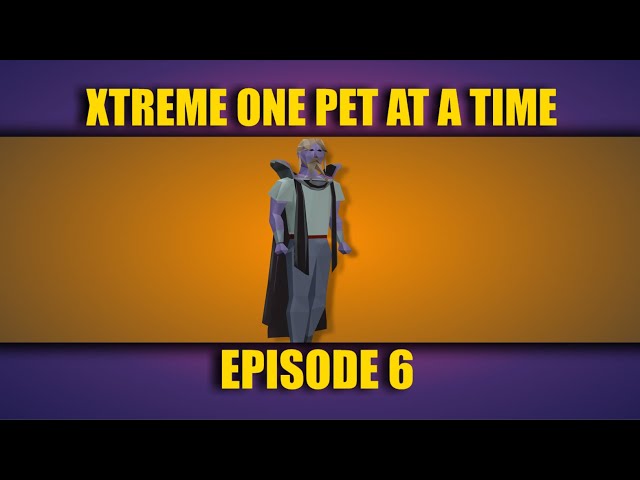 Xtreme One Pet At A Time - #6