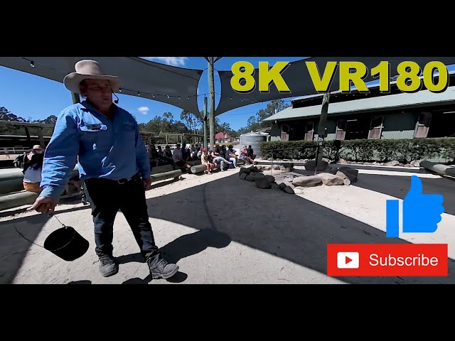 8K VR180 3D Aussie Billy Tea/Damper on the Gold Coast Australia (Travel videos, ASMR/Music 4K/8K)