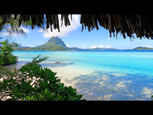 Beach View: 3 Hours of Bora Bora Ambience & Soft Ocean Sounds