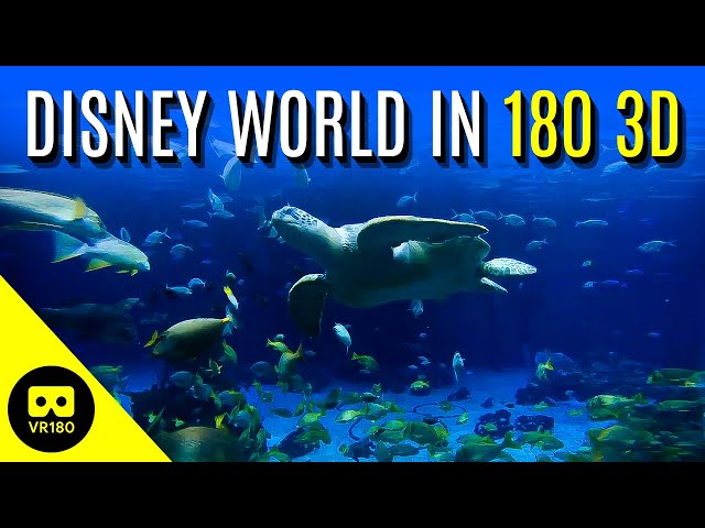 Disney World 2019 Highlights | VR180 3D VR