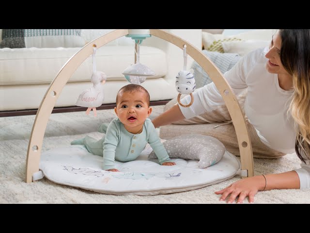 introducing the play + discover activity gym from aden + anais™