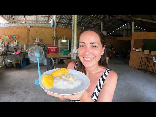 Mango Sticky Rice Adventure in Koh Tao, Thailand 🇹🇭