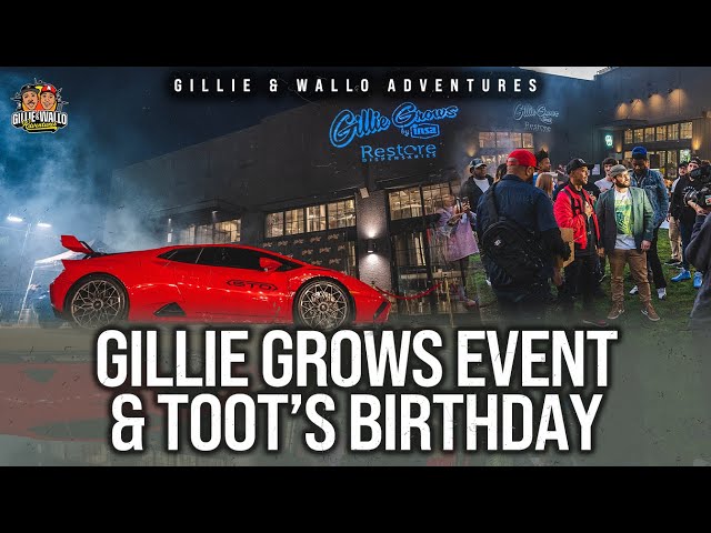 GILLIE BUYS TOOT A GIANT DIAMOND + GILLIE GROWS EVENT