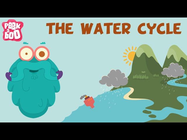 The Water Cycle | The Dr. Binocs Show | Learn Videos For Kids