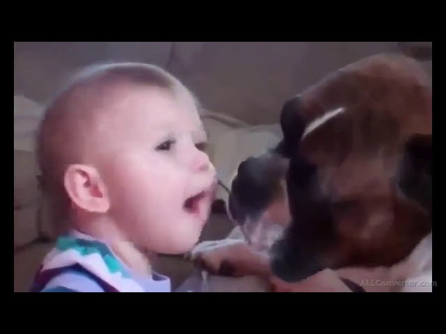 Bébé et animaux 😂🤣 Venez rire quelques instant #viral #funny #shorts #short #shortvideo