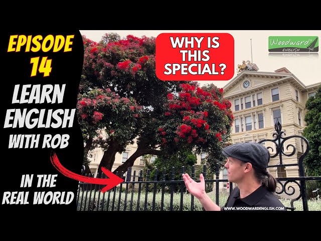 Why is this special in New Zealand? | English with Rob in the Real World 🔴 Episode 14