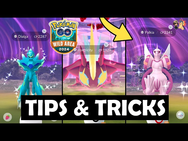 GO WILD AREA 2024 TIPS & TRICKS in Pokémon GO!