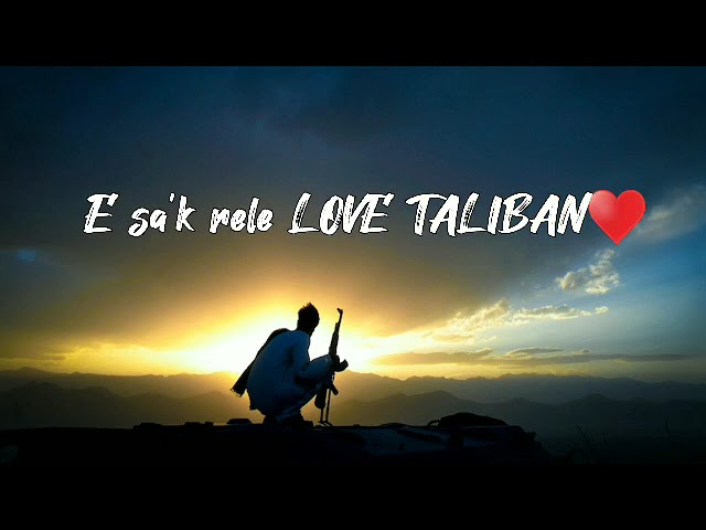 Love Taliban ♥️ ( Bel Atis Feat Ak 100 flow ) Officiel Audio lyrics