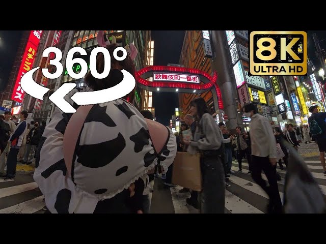 A Z-cup cow walks through Shinjuku Kabukicho at night [360 degree video]