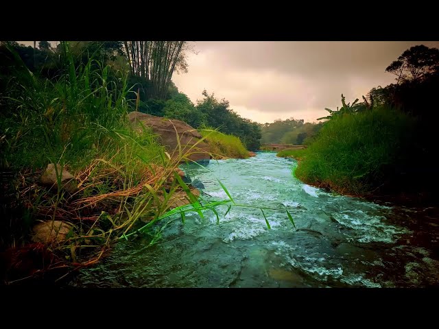 NO ADS 🌊 Crystal Clear Stream | Relaxing Nature Sounds | Crystal Blue Mountain Waters |