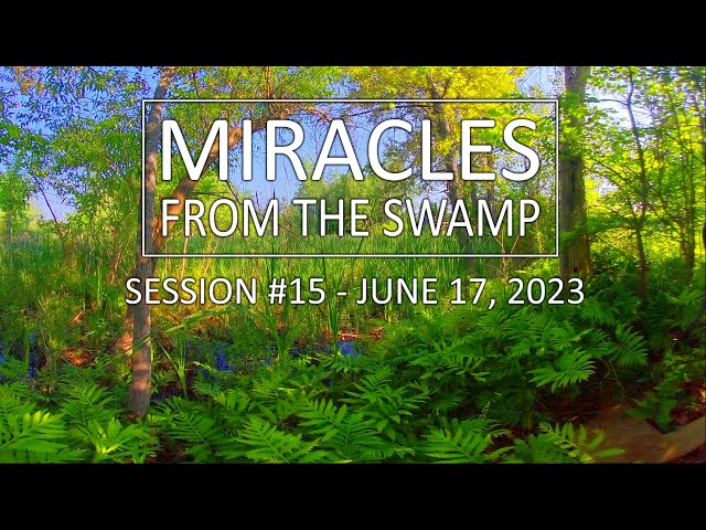 Miracles From The Swamp : Session #15 - June 17, 2023 at 8:09 AM | Virtual Reality / VR180