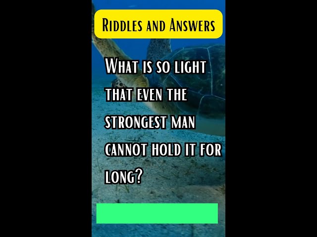 Creative and IQ based🤔🥴 funny riddles🤪 #riddles