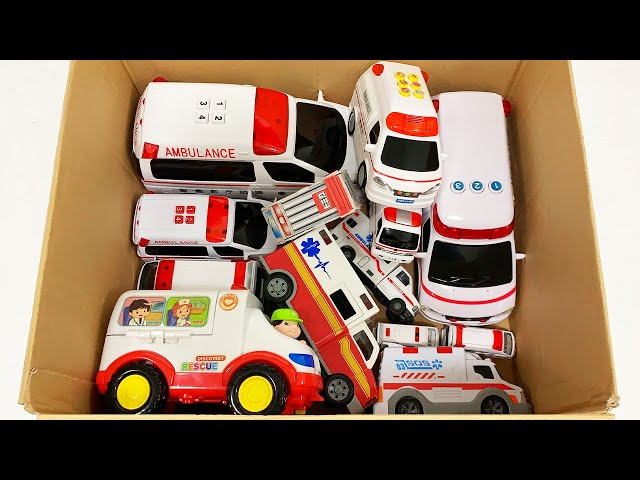 Box Full Of Model Car: Porsche, Nissan, Tesla, Maserati, Peugeot, Volvo, Renault, Subaru, Lexus