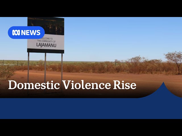 Woman dies after alleged domestic violence-related stabbing in NT remote community | ABC News