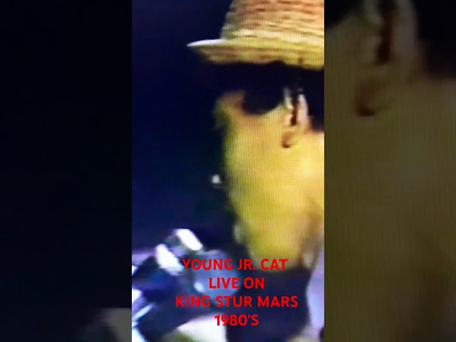 THE YOUNG JR. CAT LIVE.ON KING STUR MARS 1980'S