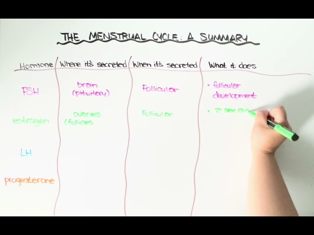 Menstrual Cycle Summary