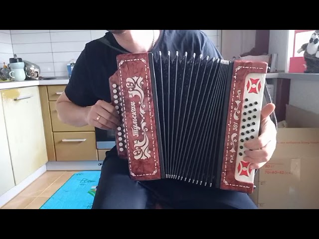 Tulskaya Garmoska, Tula 301 model, 25x25, Russian garmoska, Button Accordion, Harmonic, ON SALE