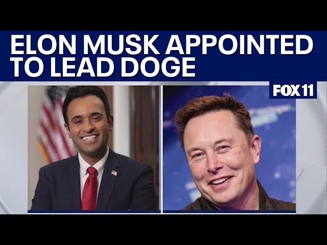 Trump appoints Elon Musk to lead Department of Government Efficiency